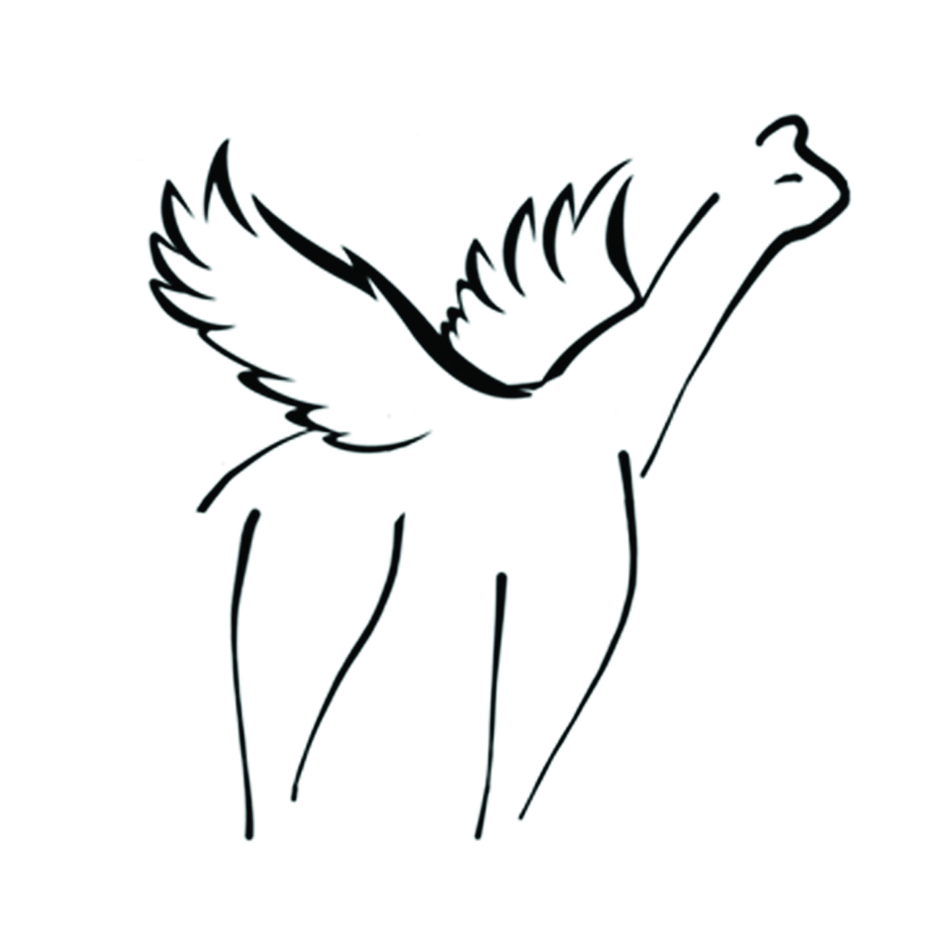 flying alpaca logo